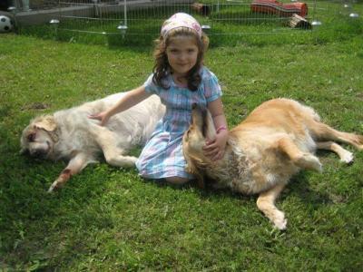 Bild zu und hier noch meine"anderen" Tiere die ich neben den 6 Coonies noch hab... - Haustiere