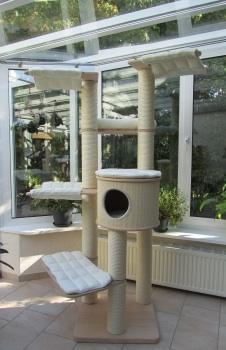 Bild zu Traum erfüllt - Haustiere