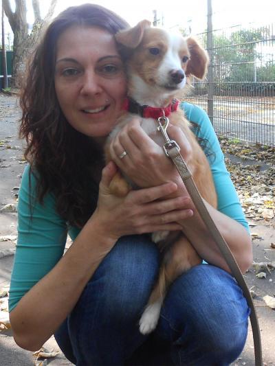 Bild zu Endlich ist sie da unsere Rumänin - Haustiere