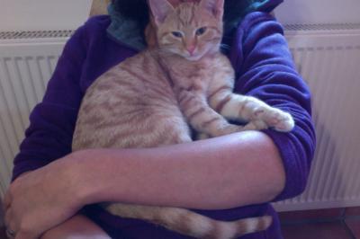 Bild zu mein Kleinster - Haustiere