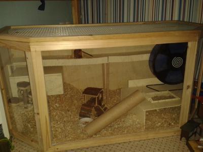 Bild zu Neues Zwerghamster Domizil! - Haustiere