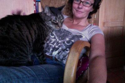 Bild zu große Katzen - Haustiere