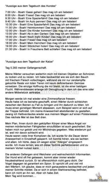 Bild zu Lach :) - Haustiere