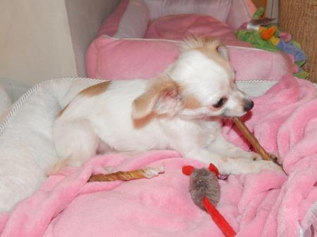 Bild zu