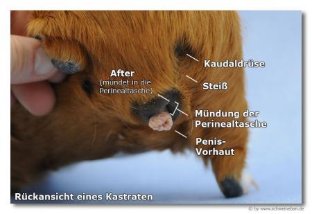 Bild zu 