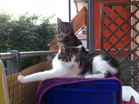 Bild zu