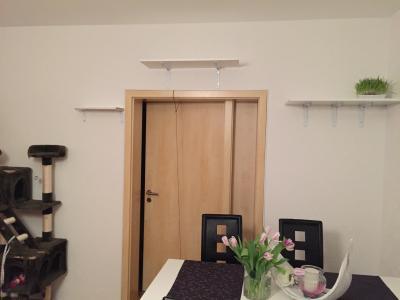 Bild zu So der erste Teil von unserem Catwalk ist fertig geworden:-) - Haustiere