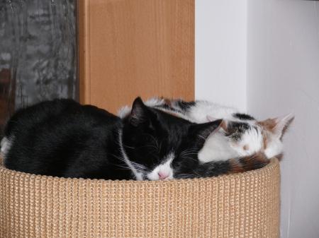Bild zu 