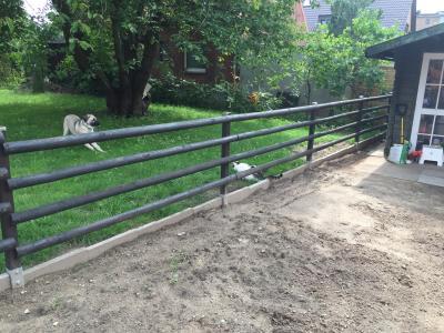 Bild zu So glücklich mit der Entscheidung unseren Kater raus zu lassen :) - Haustiere