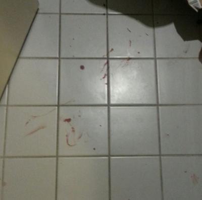 Bild zu Schock am Morgen... - Haustiere