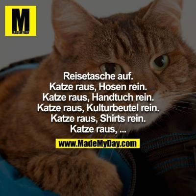 Bild zu So isses ;-) - Haustiere