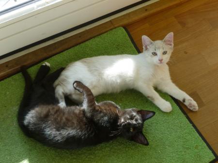 Bild zu