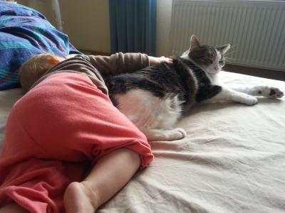 Bild zu Baby und Katzen - Haustiere