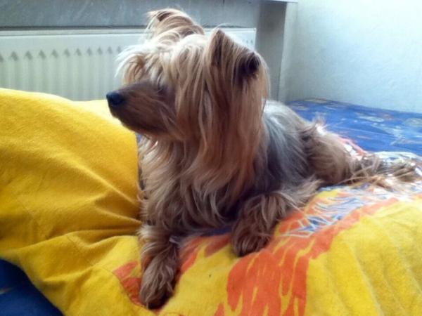 Bild zu