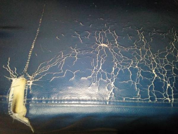 Bild zu Wie habt ihr eurer Katze das abgewöhnt? - Haustiere