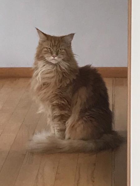 Bild zu 😂😂😂 Ich glaube, da ist jemand böse auf mich.... - Haustiere