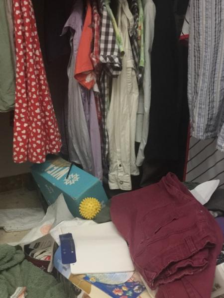 Bild zu Schickt Mamakatze JETZT viel Kraft - Haustiere