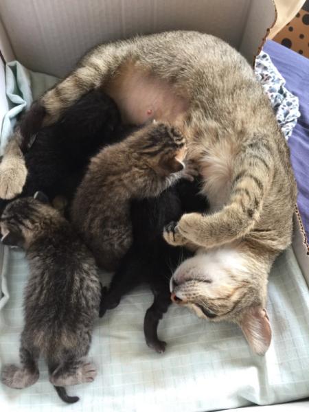 Bild zu Fototermin 😉 - Haustiere