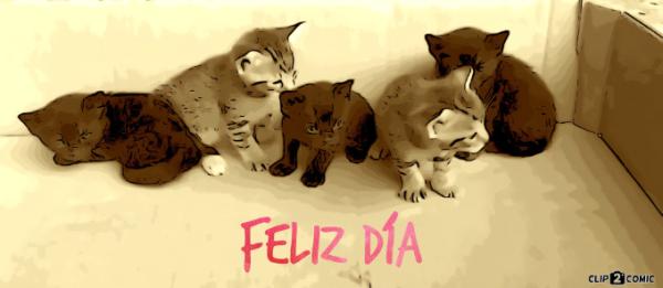 Bild zu Heute ist in Spanien - Haustiere