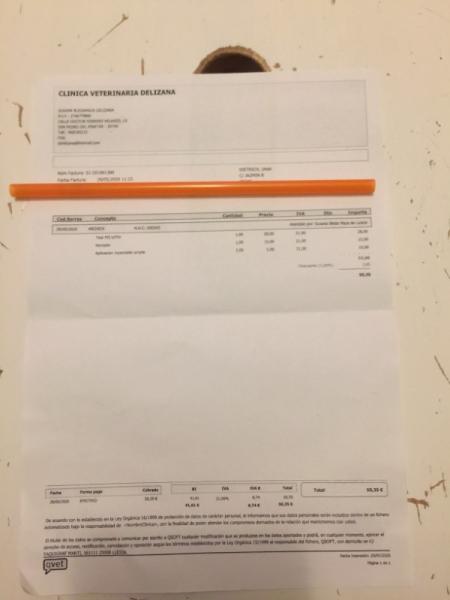 Bild zu Mamakatze ist leicht krank - Haustiere