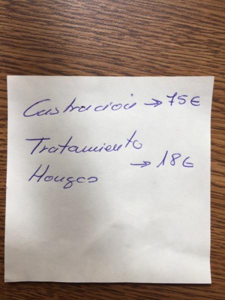 Bild zu Felix wird morgen kastriert - Haustiere