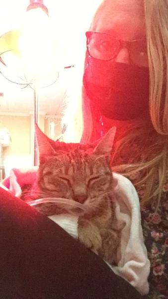 Bild zu Mamakatze ist wieder schwer krank... - Haustiere