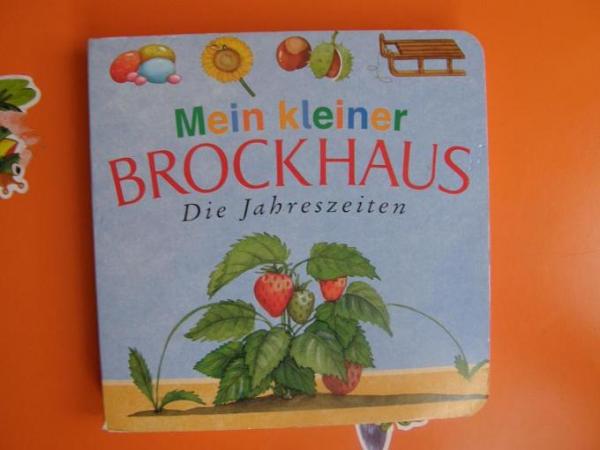 Bild zu 