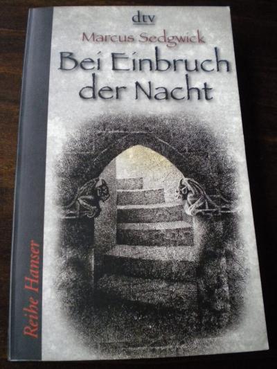 Bild zu Buchtipp: Bei Einbruch der Nacht - Bücherforum