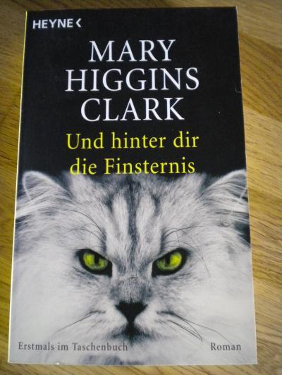 Bild zu Buchtipp: Und hinter dir die Finsternis - Bücherforum