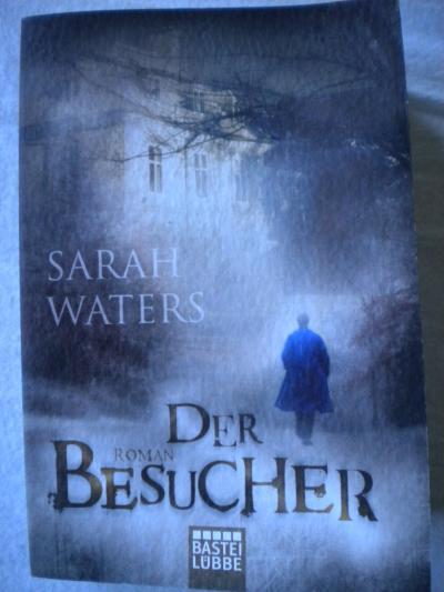 Bild zu Buchtipp: Der Besucher - Bücherforum