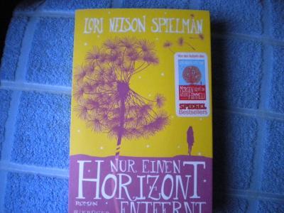 Bild zu Buchtipp: Nur einen Horizont entfernt - Lori Nelson Spielman - Bücherforum