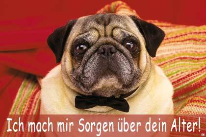 Bild zu Happy Birthday, liebe Britt - Mehrlinge - für Eltern mit Zwillingen, Drillingen und mehr