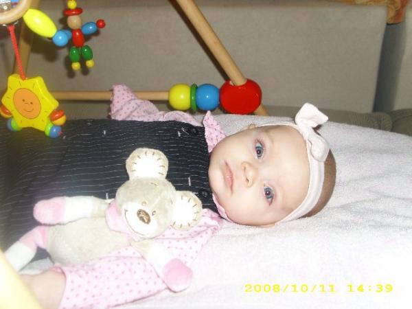 Bild zu