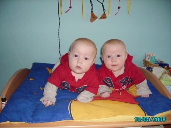 Bild zu