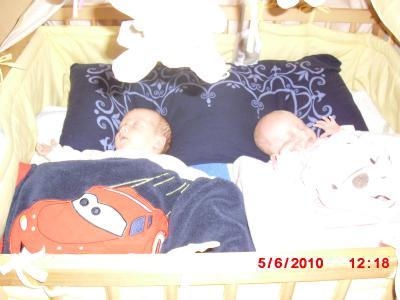 Bild zu