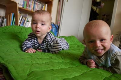 Bild zu