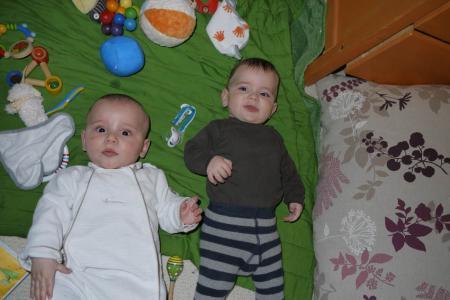 Bild zu