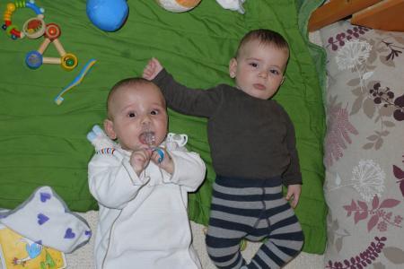 Bild zu