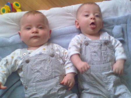 Bild zu