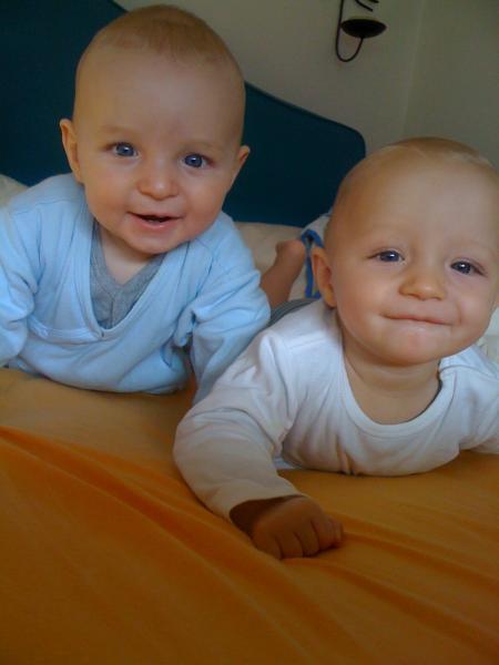 Bild zu