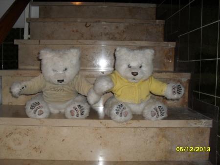Bild zu 