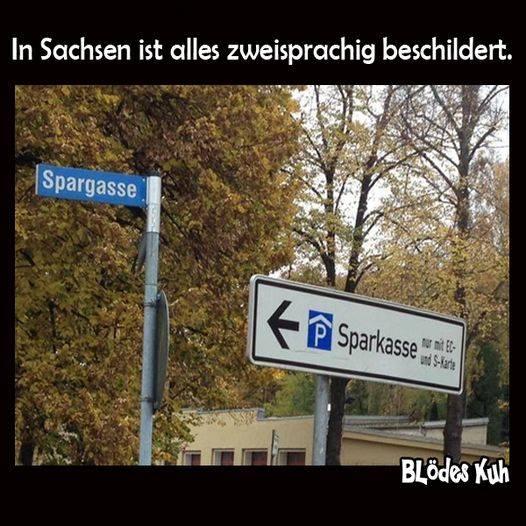 Bild zu Zweisprachig in Sachsen - Mehrsprachig aufwachsen - Forum