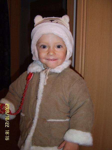 Bild zu 