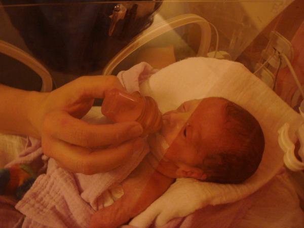 Bild zu 1. Foto - Frühchen - für Eltern mit frühgeborenen Babys