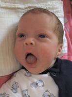 Bild zu DAAAAANNNNNKKKKKEEEEEE - Frühchen - für Eltern mit frühgeborenen Babys