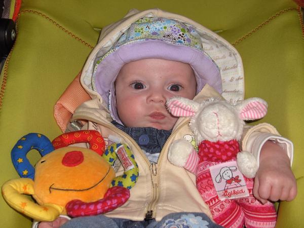 Bild zu 
