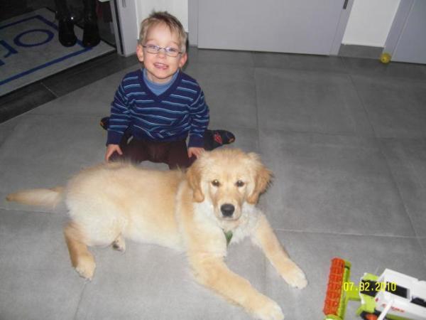 Bild zu