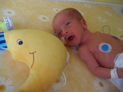 Bild zu Unser neuer erdenbürger - Frühchen - für Eltern mit frühgeborenen Babys