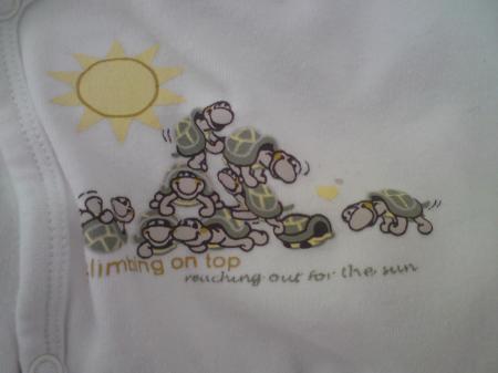 Bild zu 