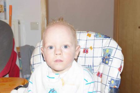 Bild zu